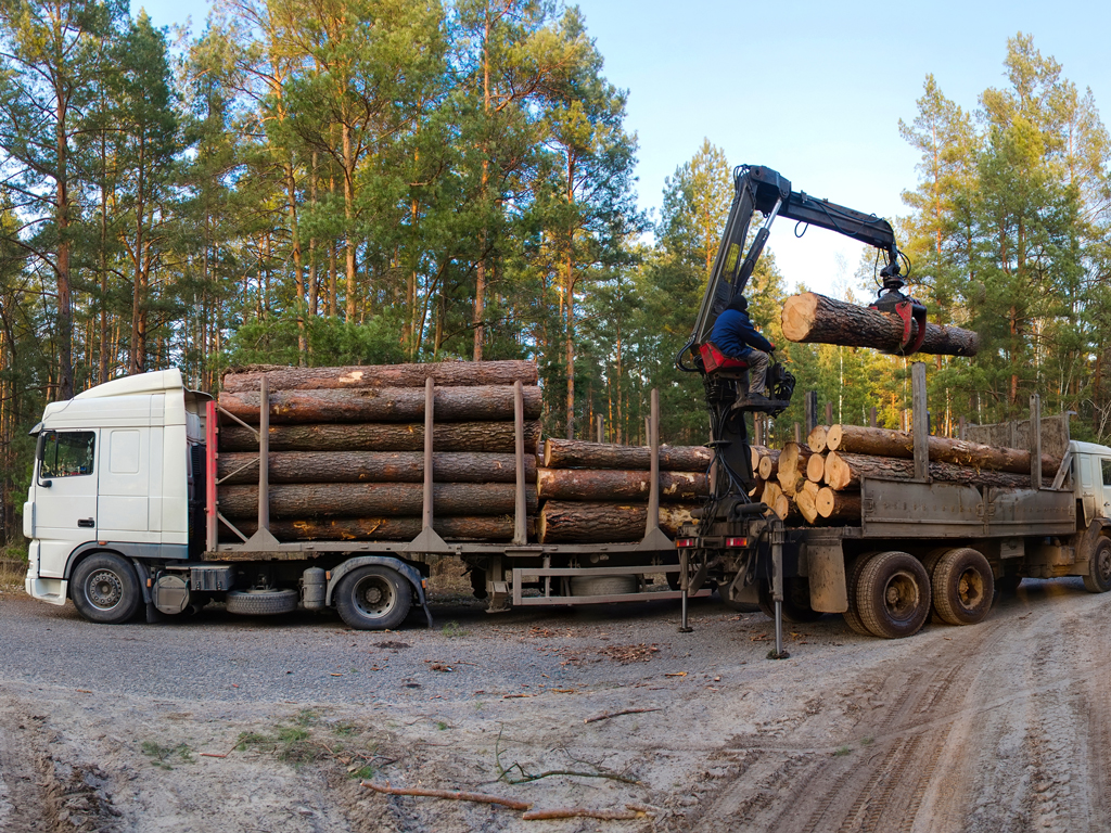 取扱重機：林業機械